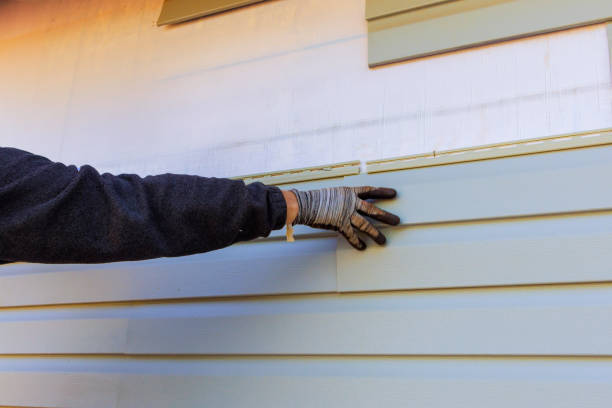 Best Insulated Siding Installation  in Malmstrom Af, MT